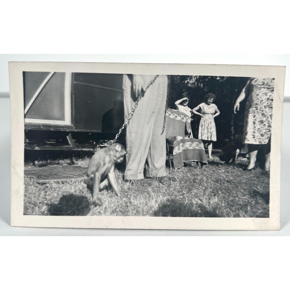 1940s Vtg Monkey Photo Carnival Fair Side Show Carnie Outdoors Party Animal